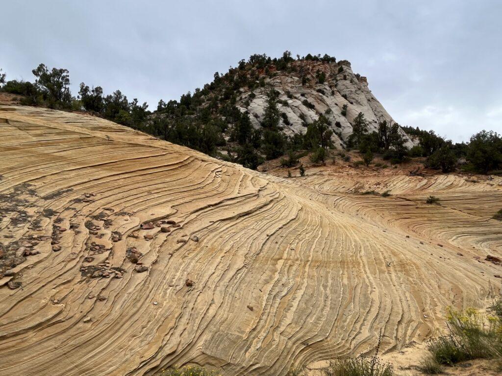 East Rim Trail