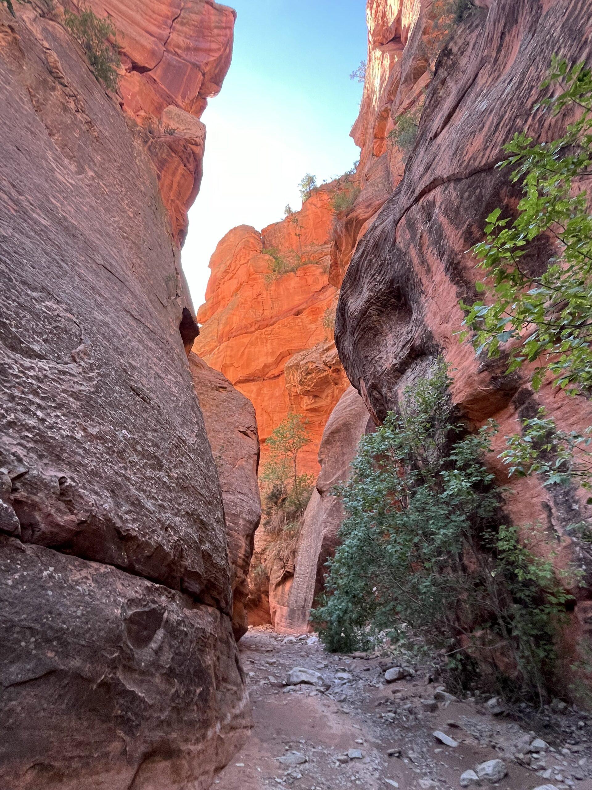 Spring creek canyon